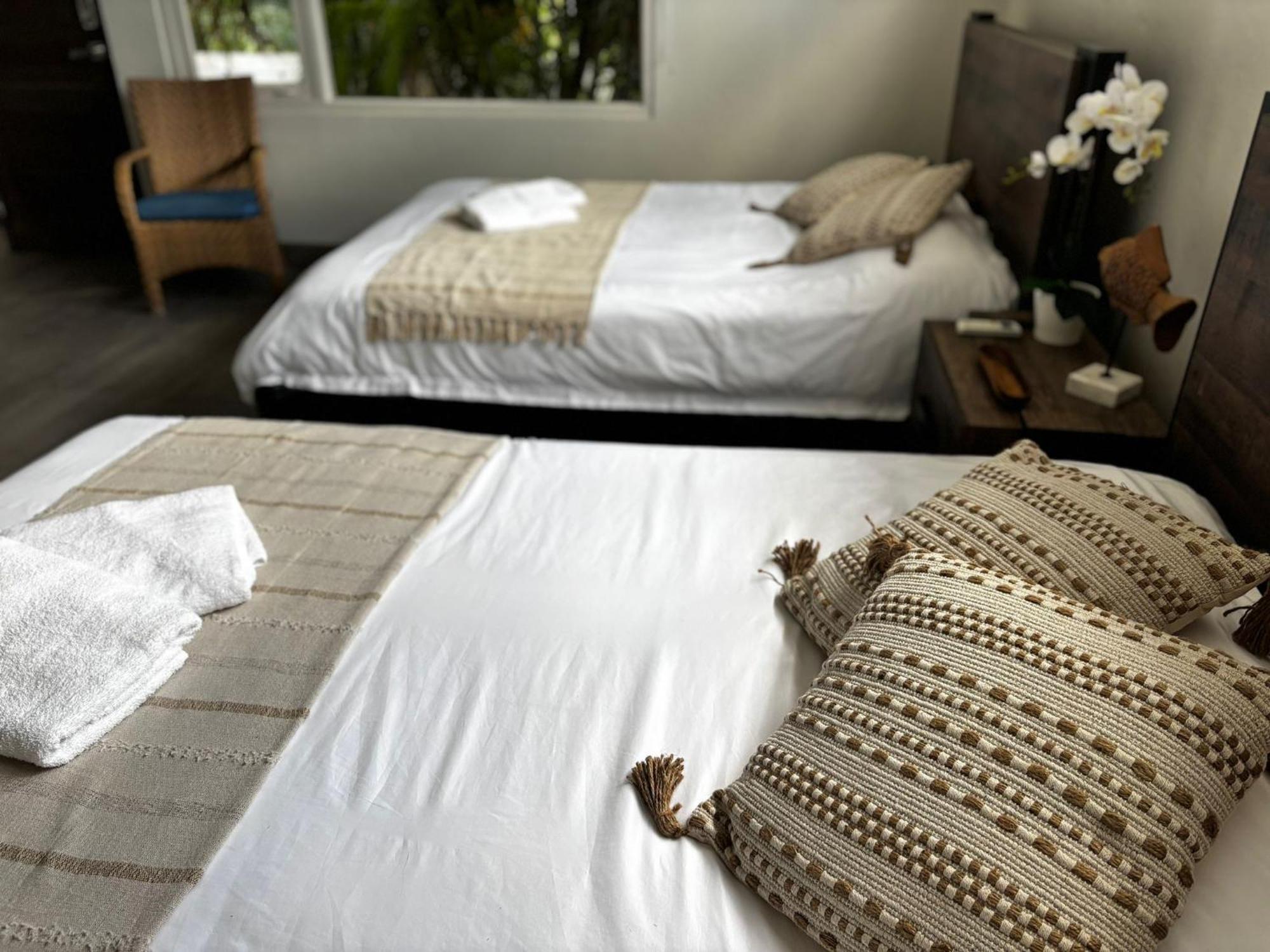 Aloe B&B Oranjestad Ngoại thất bức ảnh