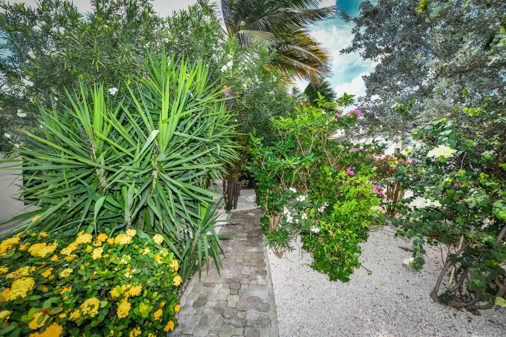 Aloe B&B Oranjestad Ngoại thất bức ảnh