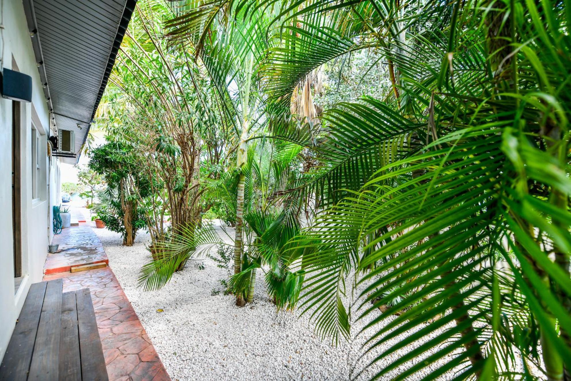 Aloe B&B Oranjestad Ngoại thất bức ảnh