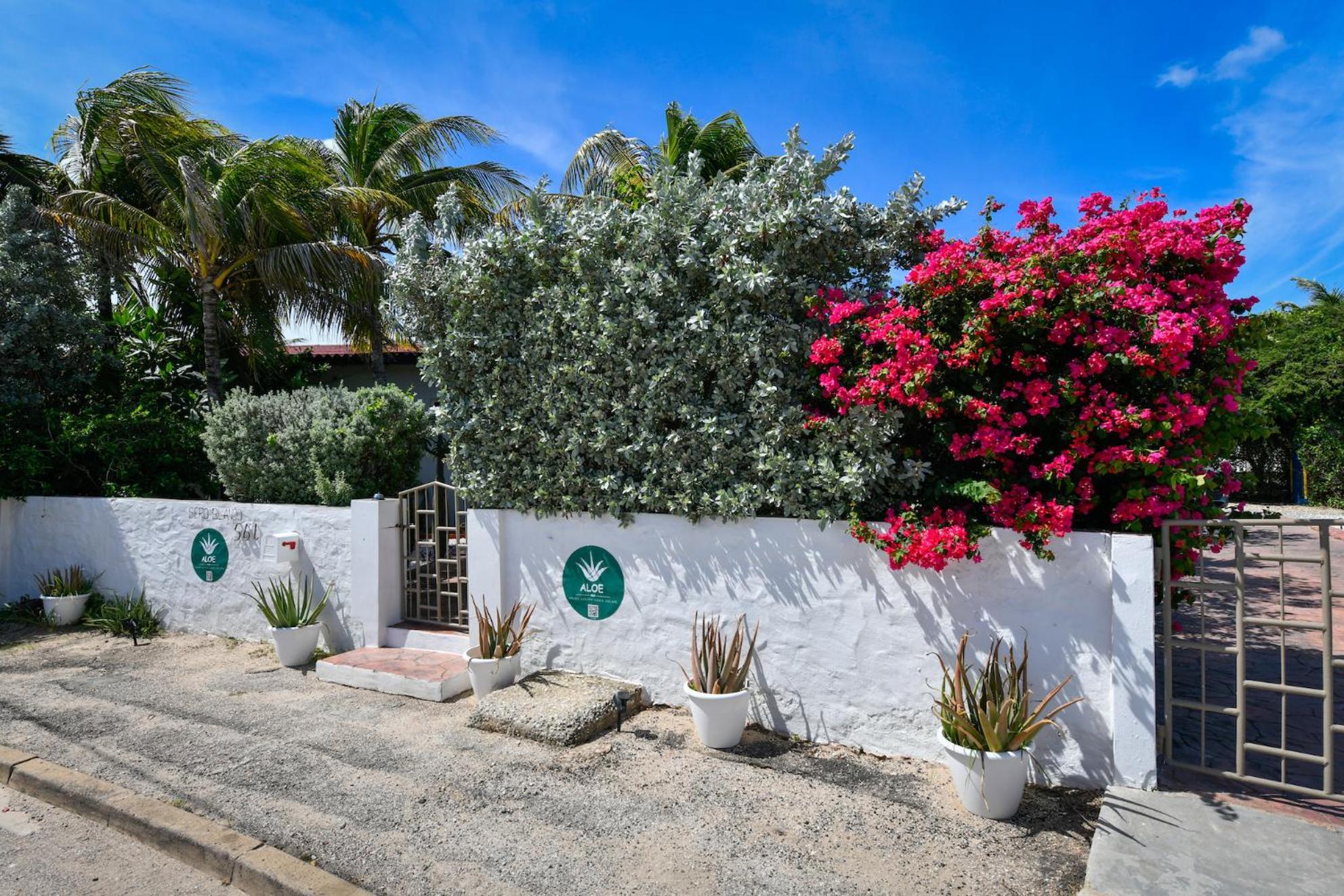 Aloe B&B Oranjestad Ngoại thất bức ảnh